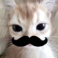 оригінальний звук