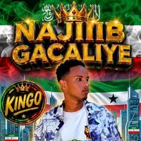 najiipgacaliye2