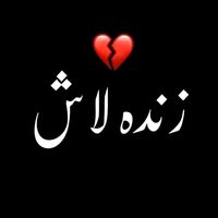 804janan778