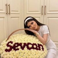 akhundova.sevcan
