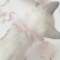 _jenndy
