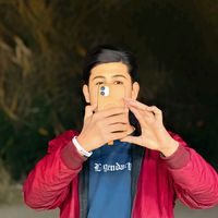 الصوت الأصلي