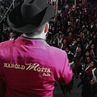harold_motta