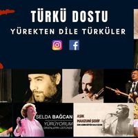 orijinal ses