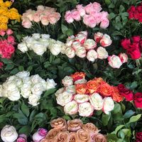 nouhad_beauty_