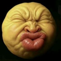 trongvu_10