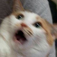 sqrezt_