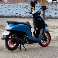 scoopywt