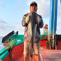 seyha.fishing.sto
