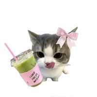 suara asli - ★•lily{HSS}•★