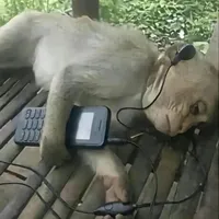 original sound - dennyzhuang