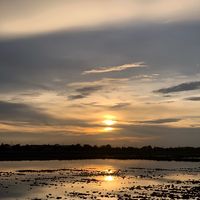 សំឡេងដើម - ME