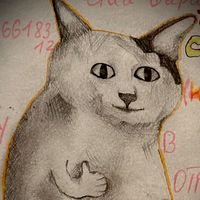 wellfedcats