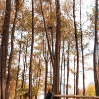suara asli - laily