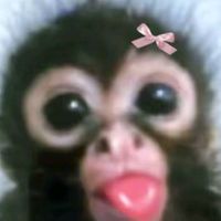 laenana12380
