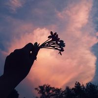 nhạc nền - 🖤 Tôi & Anh 🖤
