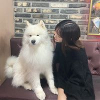 hairmake_runa