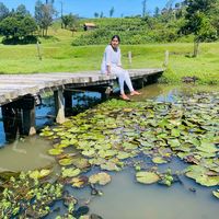 www.tiktok.comarlove
