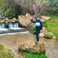tiktok.comfoxflow