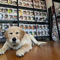 thejuicycollector