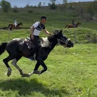 оригинальный звук