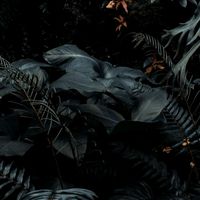 Пошли нафиг тянки