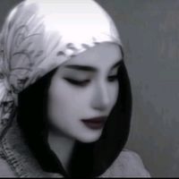 najemshel
