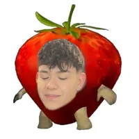 Todas son muy lindas.