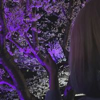 オリジナル楽曲 - ま る  🐊 🐾
