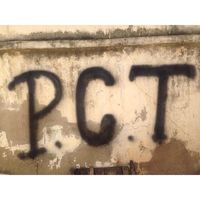 original sound - PoChenTong