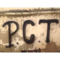 original sound - maybeuknowpct