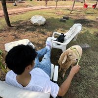 userbyfoam