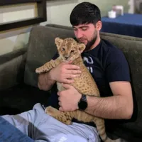 original sound - nakhchivan__ll