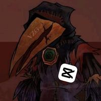 vizin_gaucho456