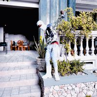 alpha___dx509