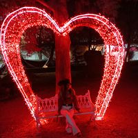 evelynaldana465