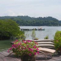 original sound - Eim co