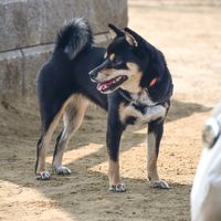 オリジナル楽曲 - Hiroki naruse