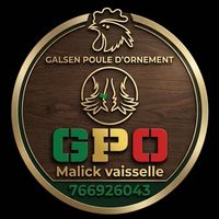 galsenpouledornement2