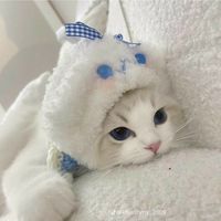 nhạc nền - Meo_blabla