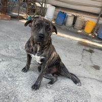 usernshq7pccox
