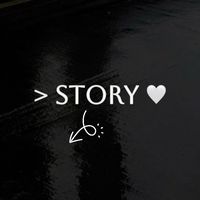 story_2525_
