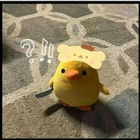 nhạc nền - Minh Quân🌊