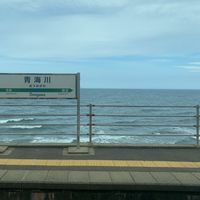 masanori5195