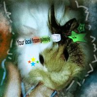 original sound - خوکچه هندی یخ زده محلتون