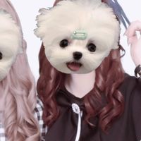 piyocha1123
