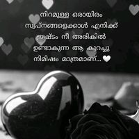 rafeekc6687