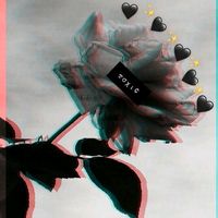 sentimentos._em._letras
