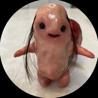 katelynnefp