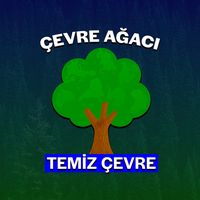 orijinal ses